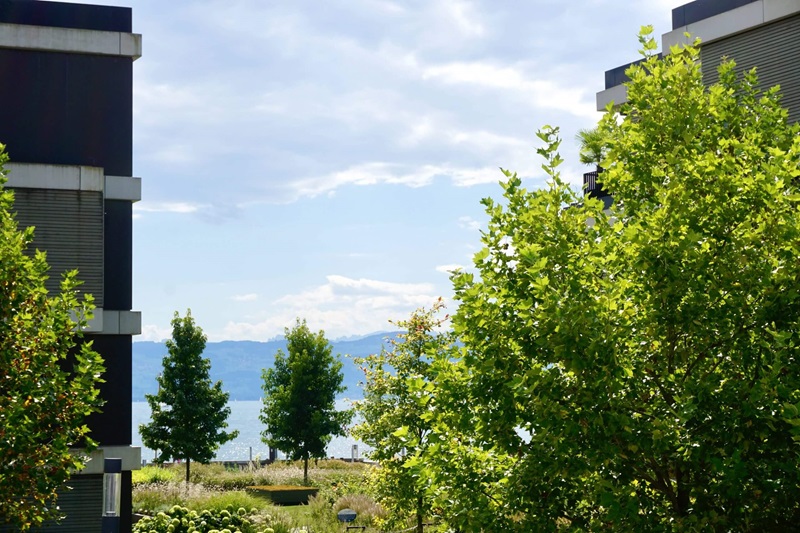 Seeblick auf Bodensee und die Schweiz