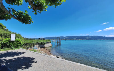 Baden in Lindau am Bodensee: Insel, freie Uferstellen und Strandbad Eichwald